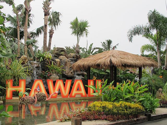 ハワイ庭園