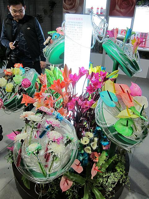 カラー水を吸い上げて、様々な色になりました、生花です！