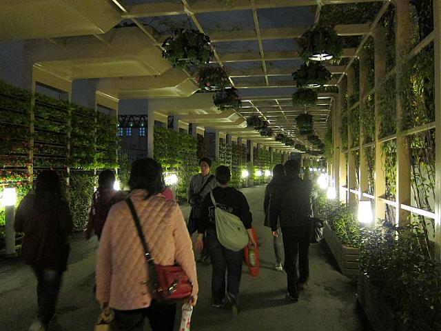 花のトンネルを抜けて…