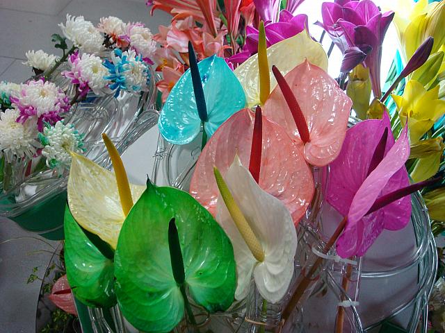カラー水を吸って色が付いた花