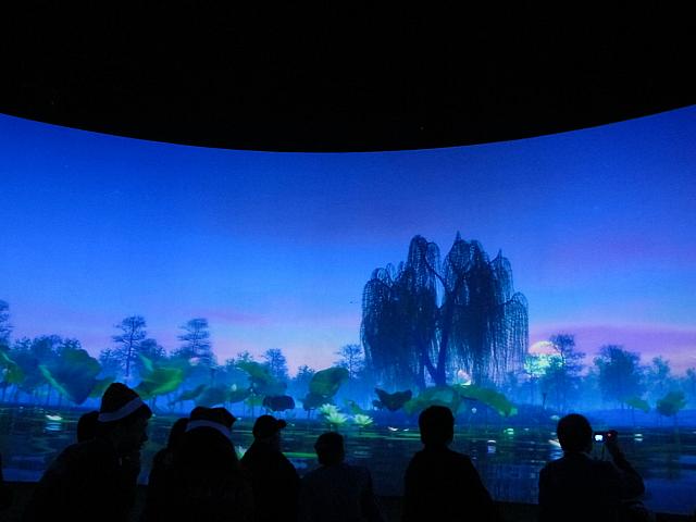 大自然の映像