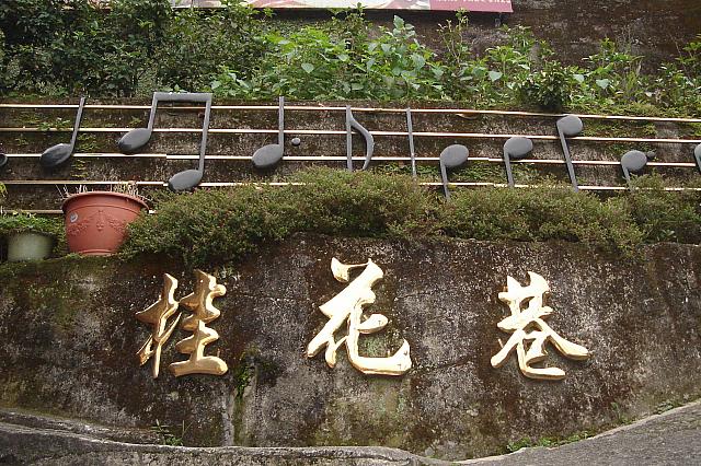 桂花とはキンモクセイのこと。こちらの老街はキンモクセイストリートってこと！？