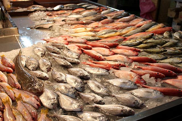さっきまで泳いでいた新鮮な魚ちゃんがたくさん