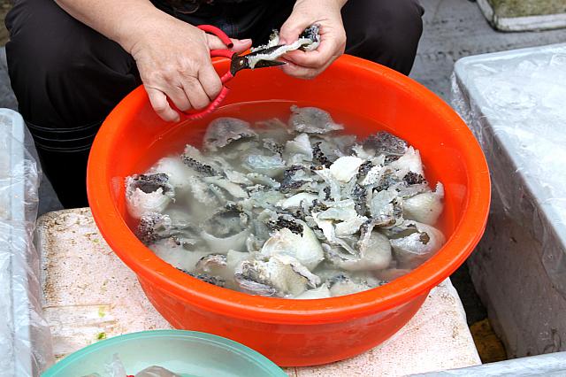 切っているのはハリセンボンの皮。ワサビ醤油に合います