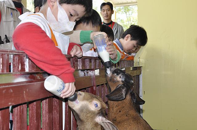 子供たちは動物と触れ合う体験をすることができます。
