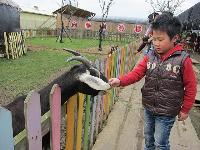 動物さんともふれあえます