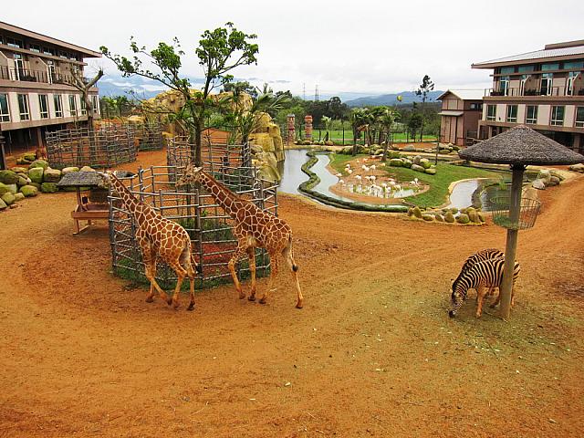 ホテルの中に動物園があるなんて☆すごい発想！