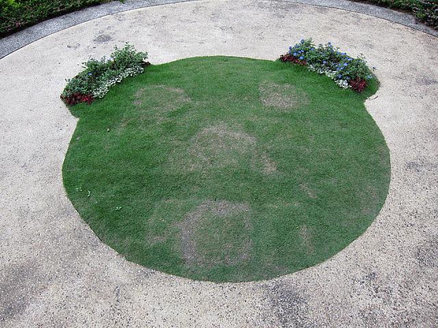 かわいいクマちゃんに囲まれて、景色を一望できるまったりカフェでした～