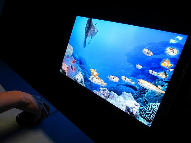 えさやりゲームもありました。実際にあげられないのがちょっとさみしい・・・