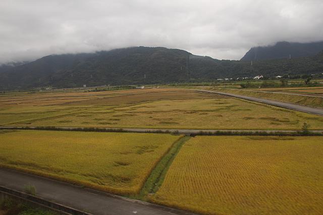 更に行くと、実りが増し…