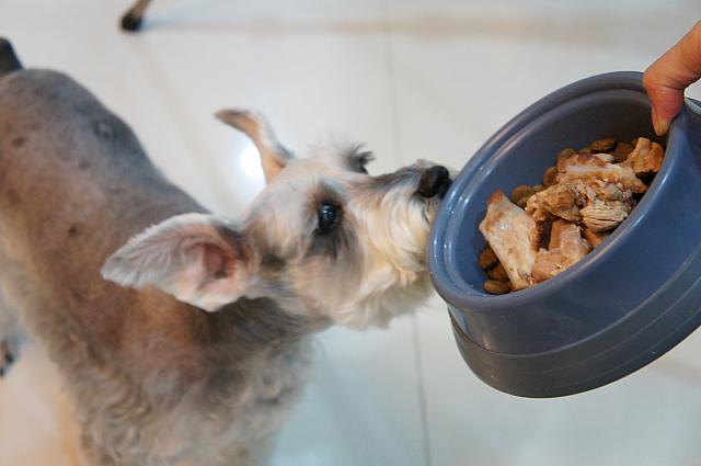 ナビの横ではワンちゃんもご飯を☆