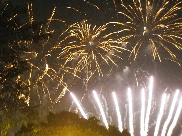 花火がキレイに見られるからなんです！