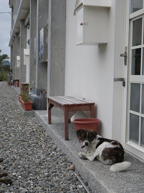 細長い部屋が連なる建物です。