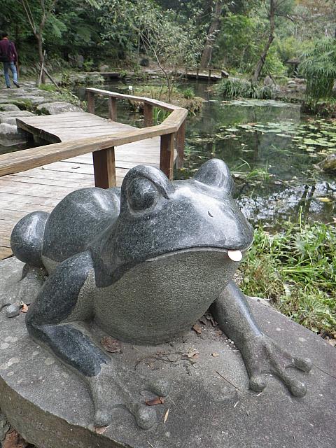 池のそばにはカエル（の置物）。