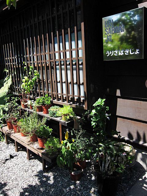 今日は「The WALL 賣捌所」と名付けられたレストランにやってきました！ここは「旧宜蘭菸酒賣捌所」を改築したので、日本の雰囲気がプンプンします。