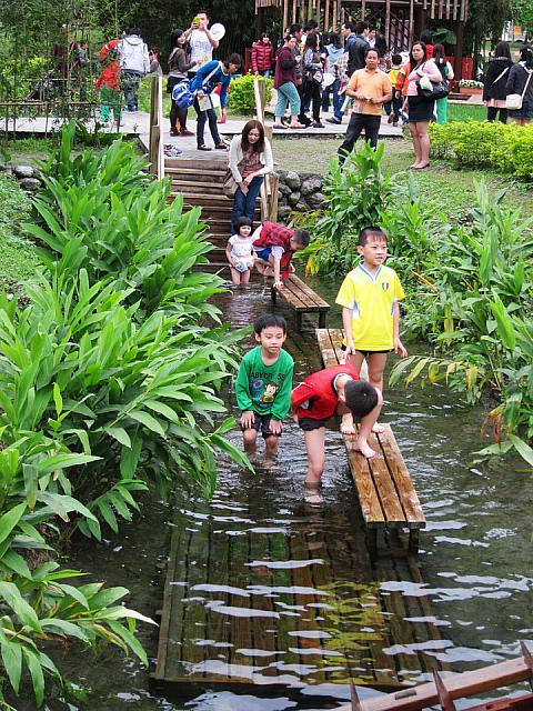 この時期に台湾に来られる方はスケジュールのひとつに加えてみてはいかがですか～？親子や友達どおしで楽しみながら学べますよ～