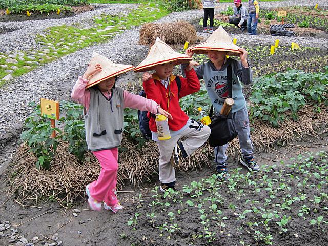 ここはオーガニック生活をテーマとした場所。大人も子供も野菜の種まきを体験