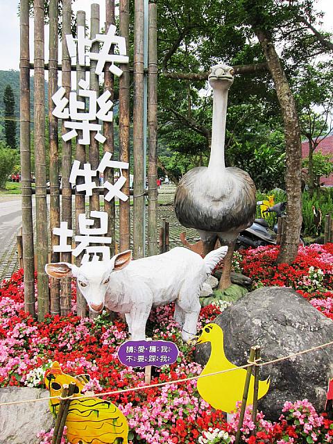 次にやってきたのは動物と触れ合える場所！