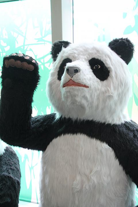 最後はパンダさんに会いにきました。ちなみにこれは偽物♪