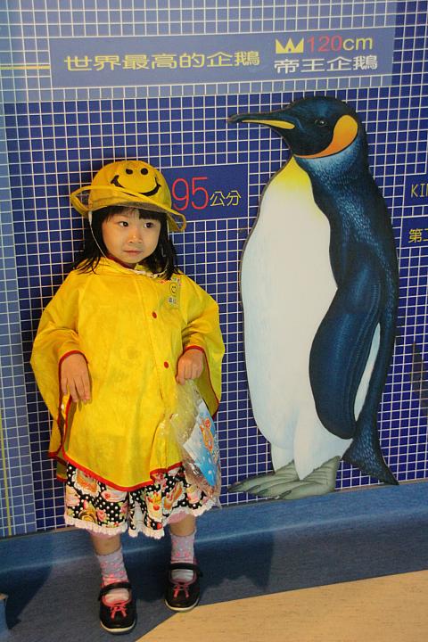 大きい種類のペンギンになるとちびっこよりも大きいんですねぇ♪
