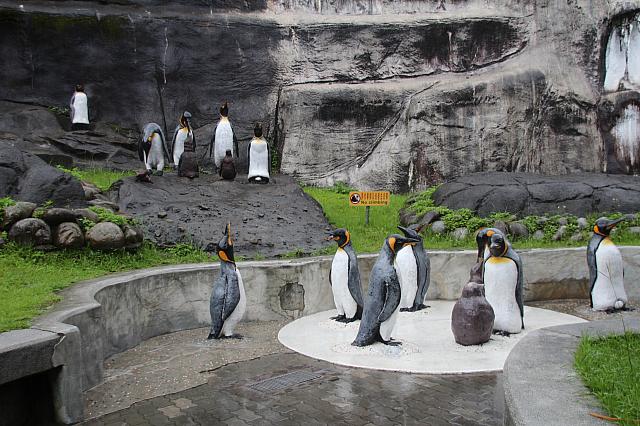 あっ！ペンギンさんが雨の中歩いている！！と興奮しましたが、ただの像でした・・・＞＜完全に騙された！！！