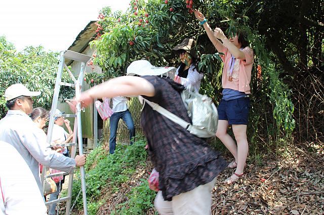みんなで協力して収穫しているうちに