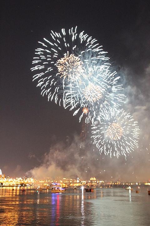 花の様だったり