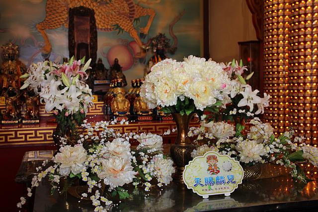白花（男の子が授かる花）