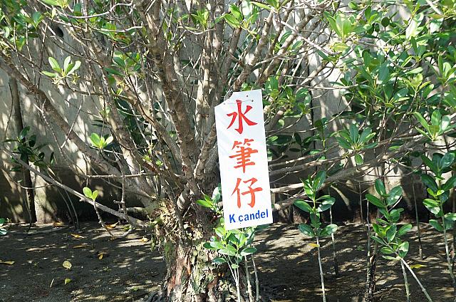 名前を紹介しているのも親切ですね！