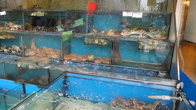生簀の中から、生きた蟹、エビ、アサリ、そして、魚火鍋を食べたいので、見繕って鯛っぽいお魚を選びました。