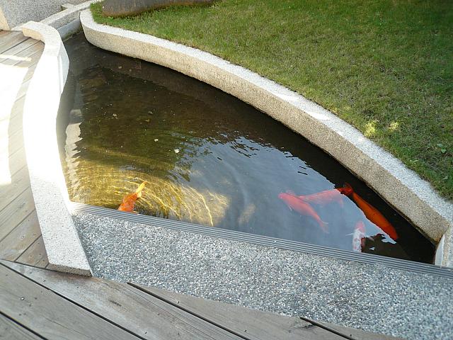 エントランスには池が