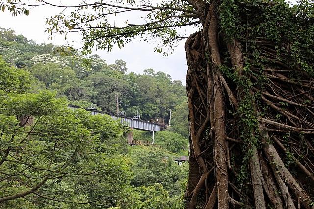 奥には新しい線路が見えますねぇ