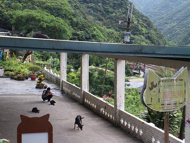 犬ちゃんも男一人旅もおりますよ