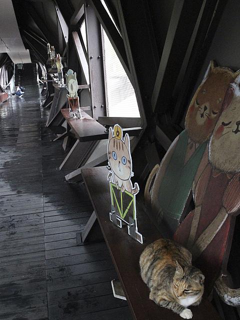 線路をまたぐ通路にも猫さま