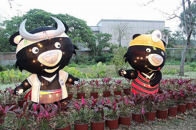 台湾黒熊が原住民衣装を着ています