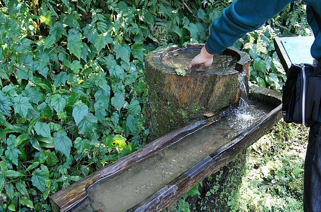 漂流木で作った手洗い場！ここで、冷たい水に触ることができます