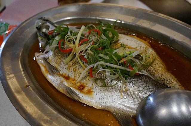 総統魚