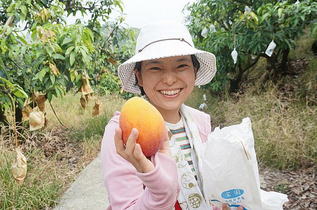 きれいなマンゴーをゲットした方や