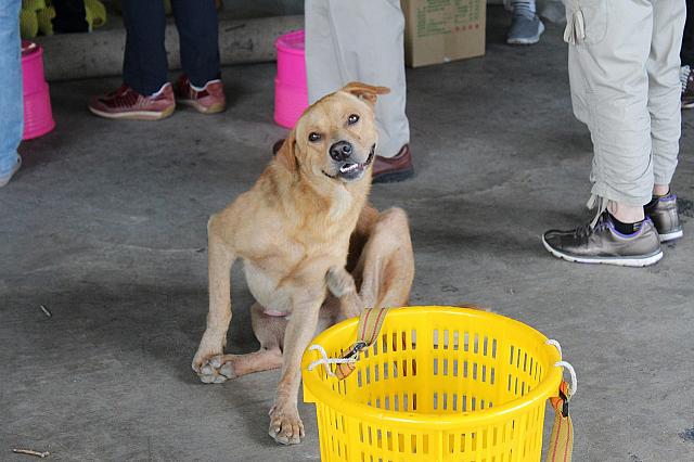 この日の詳しいレポートはただ今鋭意執筆中です♪