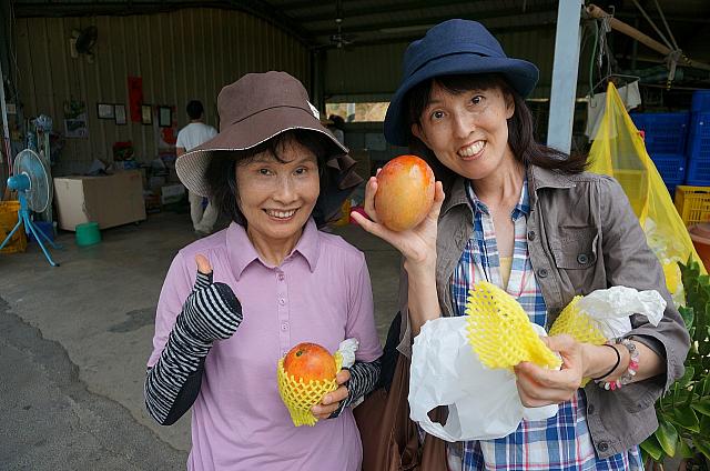 袋をかけられているマンゴーを見極めるのはゲームのようでなかなか楽しいですよね～