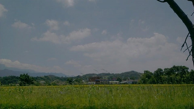 苗栗まで台北から車で約2時間半ほどで着きます。ここは、山や川に囲まれた、空気がきれいなところです。