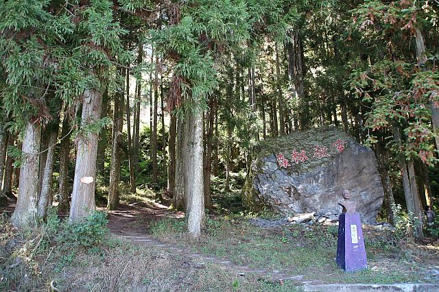 まさに森林教室！