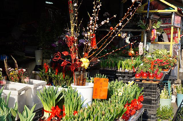 植木もおめかしして、お正月バージョンに！