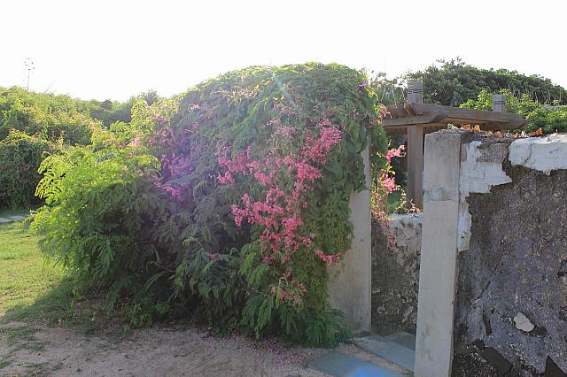 裏門から入っていきましょう！