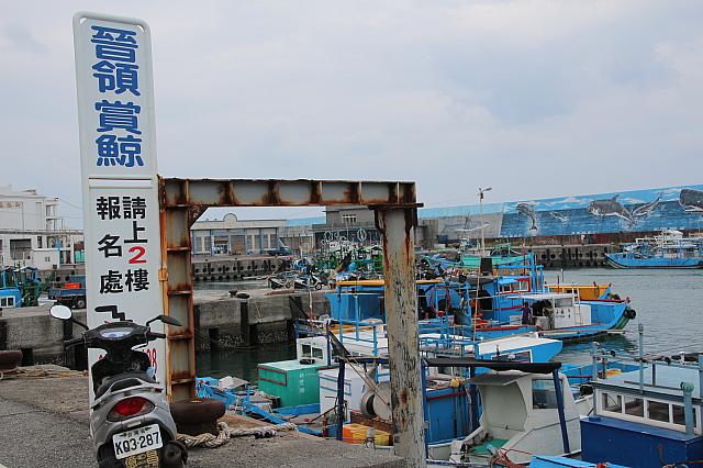 建物の2階はイルカウォッチングの受付場所