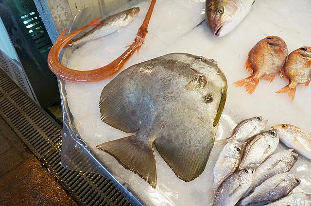 もう見たことないお魚さんも多かったのですが…