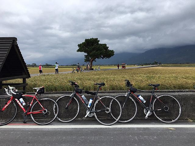 池上！伯朗大道！
