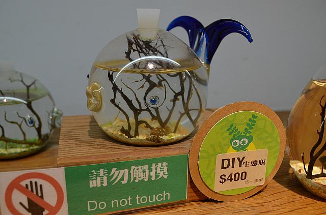 エビと水草のエコ水槽