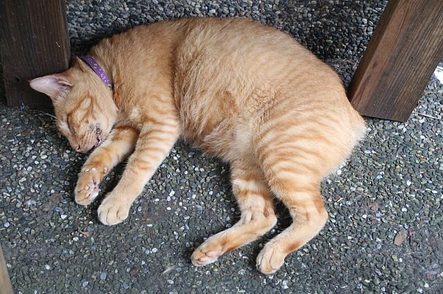 また爆睡（笑）