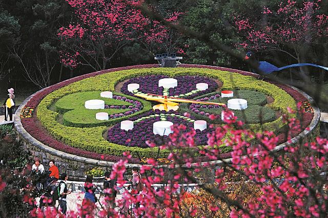 陽明山で手軽に山ガールしちゃう？季節の花で彩られる花時計はインスタスポット！